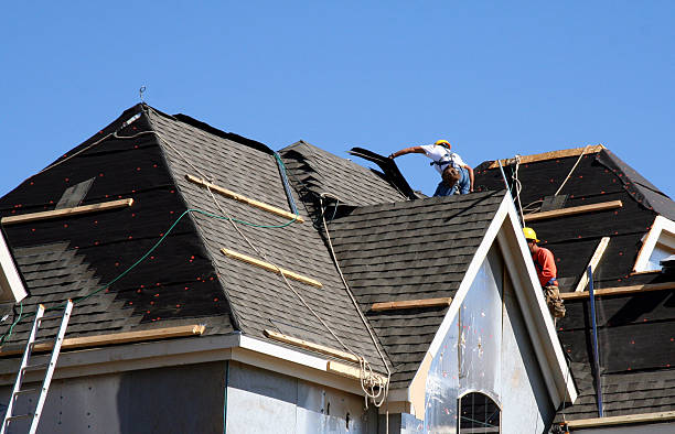 Best Shingle Roofing Installation  in Albion, NY