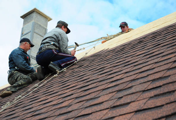 Best Roof Gutter Cleaning  in Albion, NY